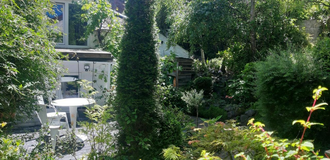 Cozy Carbence Cottage Carbis Bay Exteriör bild