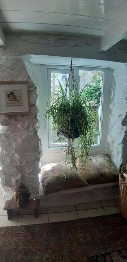 Cozy Carbence Cottage Carbis Bay Exteriör bild